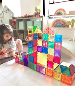 Playmags Magnetic Tiles, Magnetic Building Bricks, Playmags Exclusive  Magnetic Blocks, Skill Development, Ages 3+ (Small Bricks Tiles)
